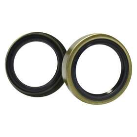 60198 Bearing Buddy Grease Seals