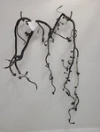 2010 Ford F150 Pickup Engine Wire Harness 5.4L. Fixed Price $252.00.
