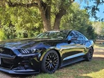 2015-2023 Ford Mustang Front Brake Dust Shield Kit W/ Brembo Calipers Lh & Rh$. Fixed Price $178.99.