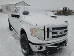 Chassis Ecm Towing Control Dash Mounted Fits 09-10 Ford F150 Pickup 1328750. Fixed Price $103.50.