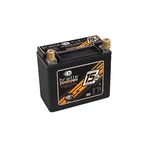 Braille Battery B2015 Advanced Agm Lightweight Racing. Fixed Price $237.99.