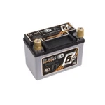 Braille Auto Battery B106 Lightweight Agm. Fixed Price $208.05.